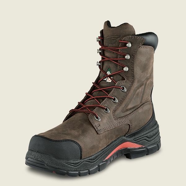 Bottes De Sécurité Red Wing King Embout ADC 8-inch Imperméables CSA Metguard Homme Marron Noir | IHE-150478