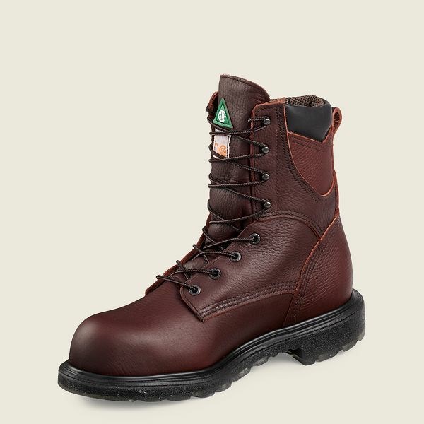 Bottes De Sécurité Red Wing SuperSole 2.0 8-inch Insulated, Imperméables CSA Homme Marron | BTE-068912