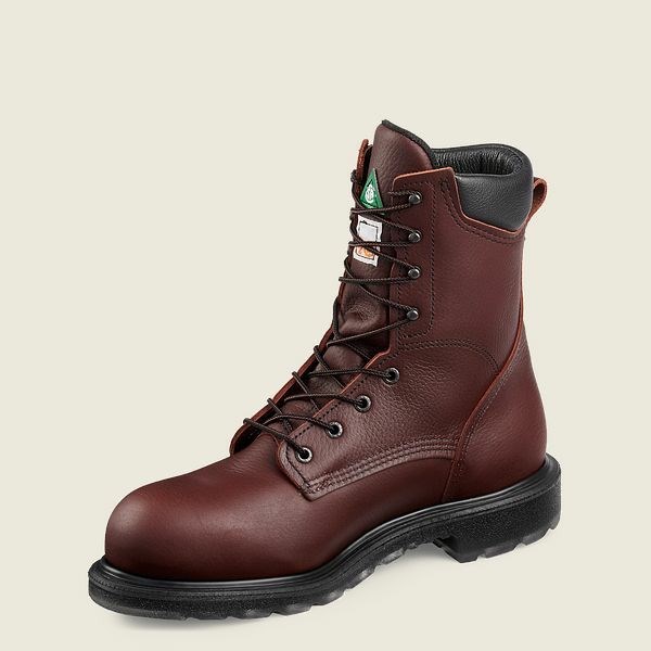 Bottes De Sécurité Red Wing SuperSole 2.0 8-inch CSA Homme Marron | LNI-762154