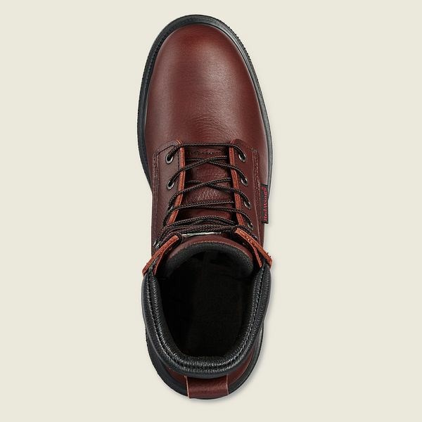 Bottes De Sécurité Red Wing SuperSole 2.0 8-inch CSA Homme Marron | LNI-762154