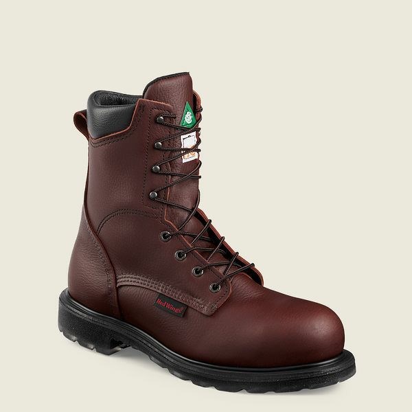 Bottes De Sécurité Red Wing SuperSole 2.0 8-inch CSA Homme Marron | LNI-762154