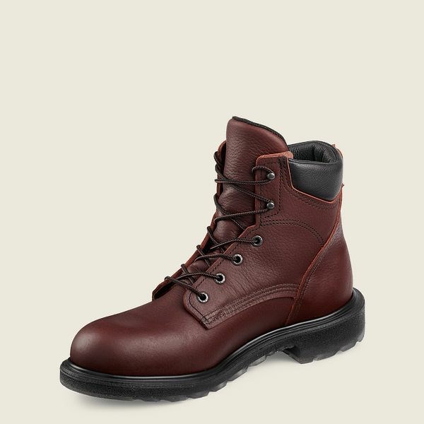 Bottes De Sécurité Red Wing SuperSole 2.0 6-inch Homme Marron | OCM-385704