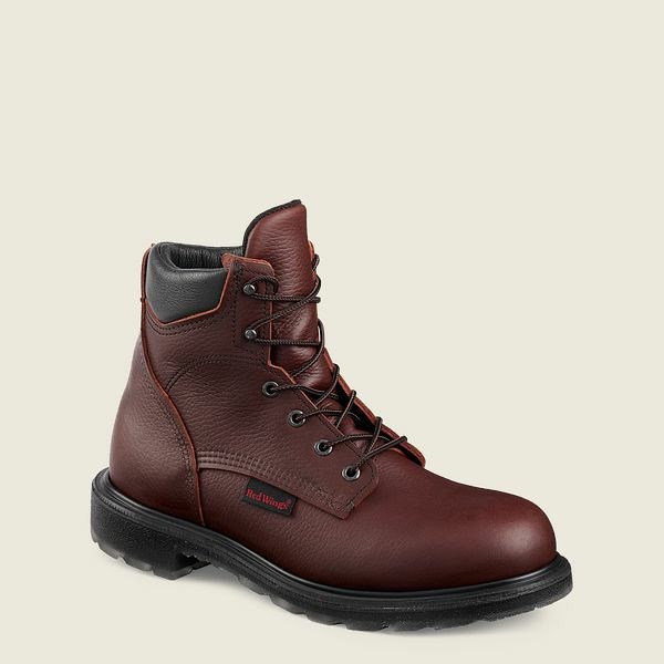 Bottes De Sécurité Red Wing SuperSole 2.0 6-inch Homme Marron | OCM-385704