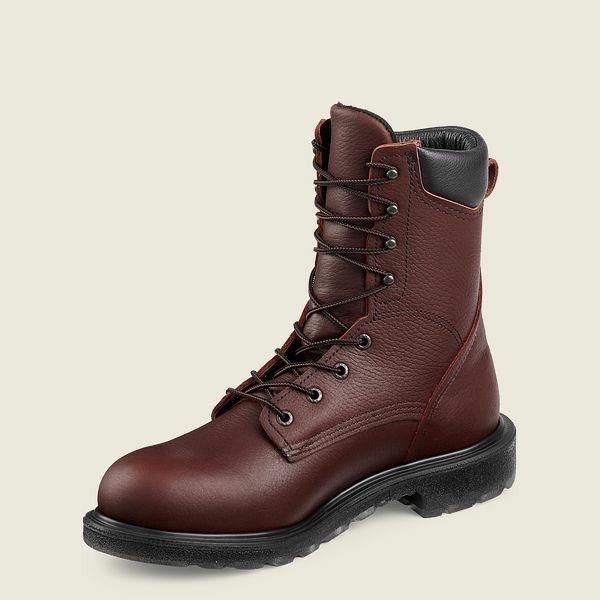 Bottes De Sécurité Red Wing SuperSole 2.0 8-inch Homme Marron | PQG-216487