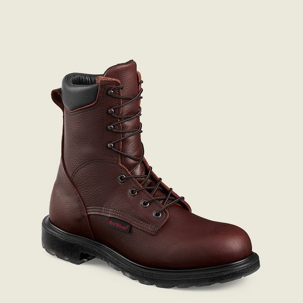 Bottes De Sécurité Red Wing SuperSole 2.0 8-inch Homme Marron | PQG-216487