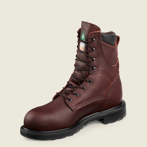 Bottes De Sécurité Red Wing SuperSole 2.0 8-inch Imperméables CSA Homme Marron | PSR-624051