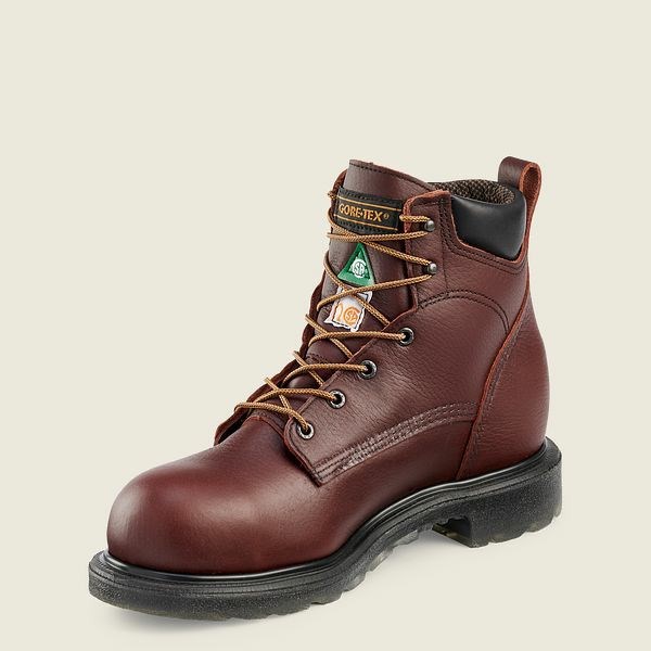 Bottes De Sécurité Red Wing SuperSole 2.0 6-inch Imperméables CSA Homme Marron | TBV-845062