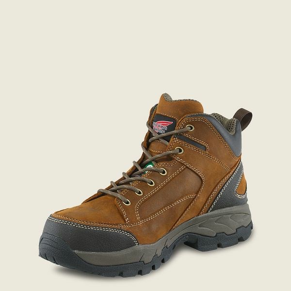 Bottes Randonnée Red Wing TruHiker 5-inch CSA Sécurité Embout Homme Grise | OAC-836972