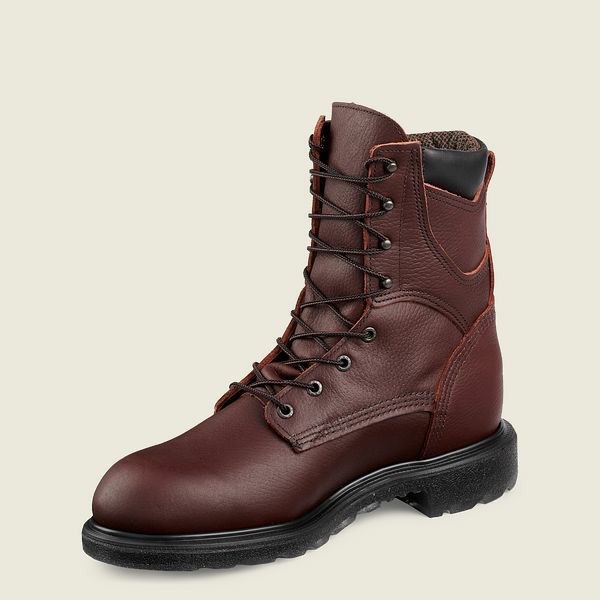 Bottes de Travail Red Wing SuperSole 2.0 8-inch Insulated, Imperméables Soft Embout Homme Marron | NCG-927310