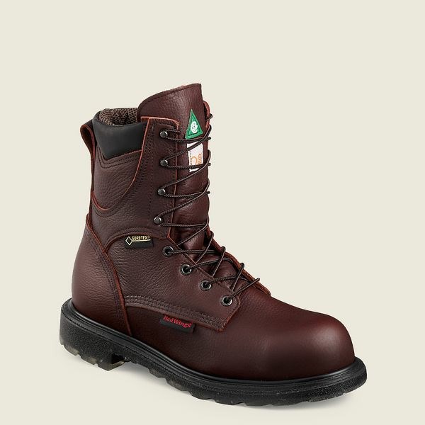 Bottes de Travail Red Wing SuperSole 2.0 8-inch Insulated, Imperméables CSA Sécurité Embout Homme Marron | SVD-593064