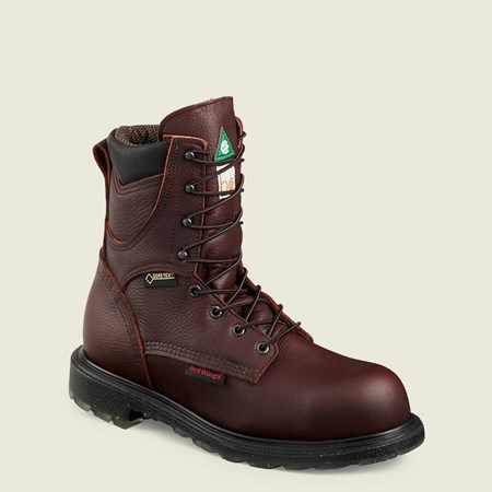 Bottes De Sécurité Red Wing SuperSole 2.0 8-inch Insulated, Imperméables CSA Homme Marron | BTE-068912